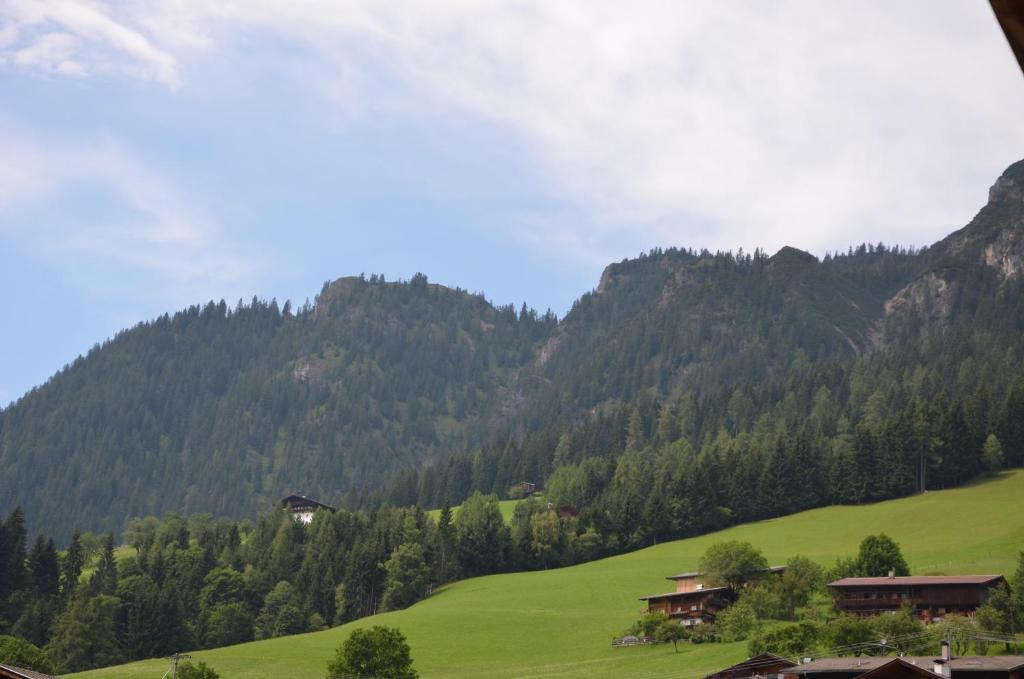 Appartement Leirer Alpbach Cameră foto